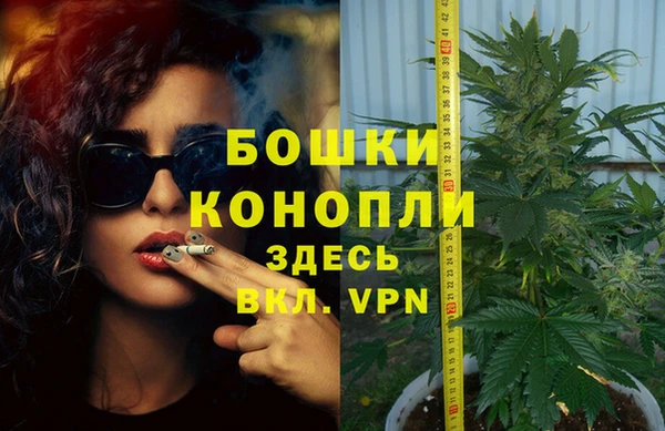 каннабис Коряжма