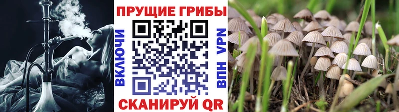 Псилоцибиновые грибы ЛСД  Электросталь 