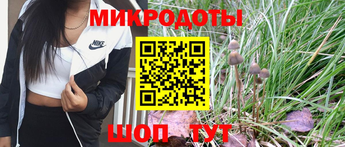 Псилоцибиновые грибы прущие грибы Электросталь