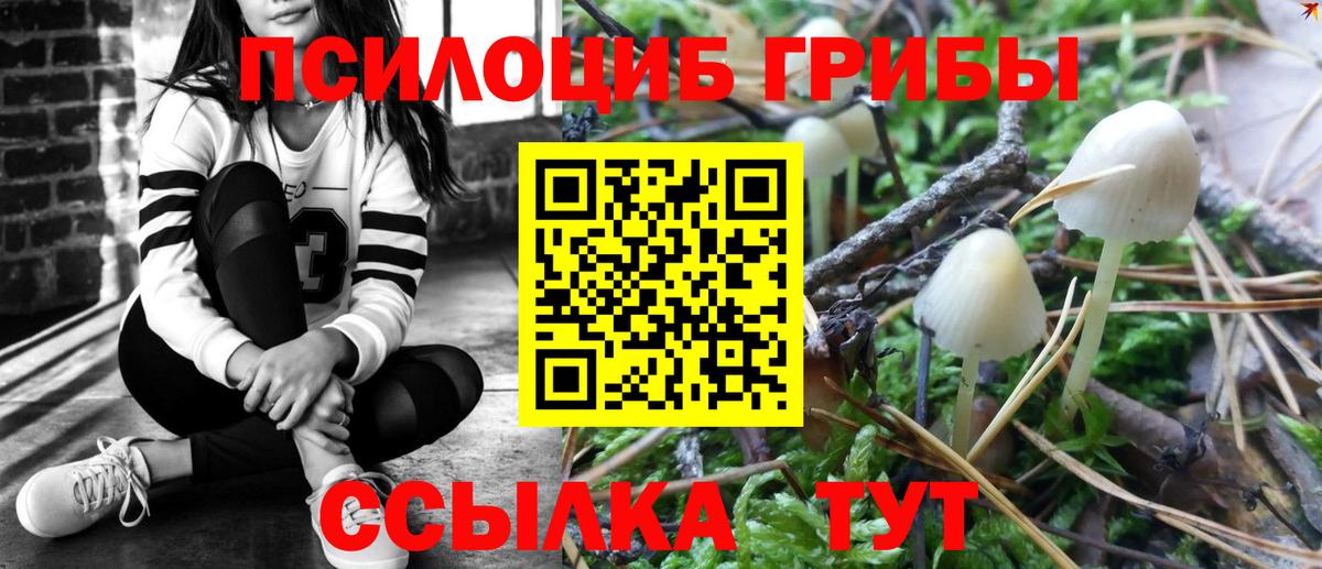 наркота  Галлюциногенные грибы Psilocybe  Вход с VPN  Электросталь 