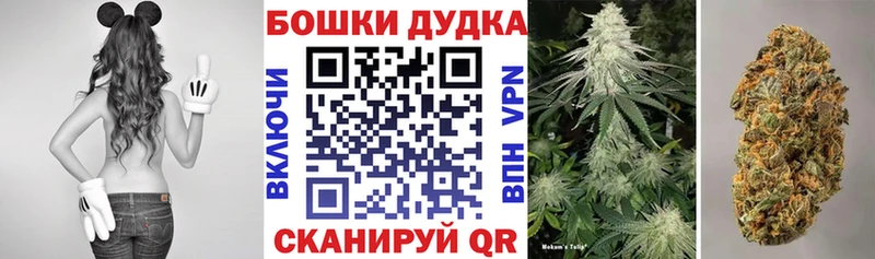 Конопля ГИДРОПОН  даркнет официальный сайт  Электросталь 